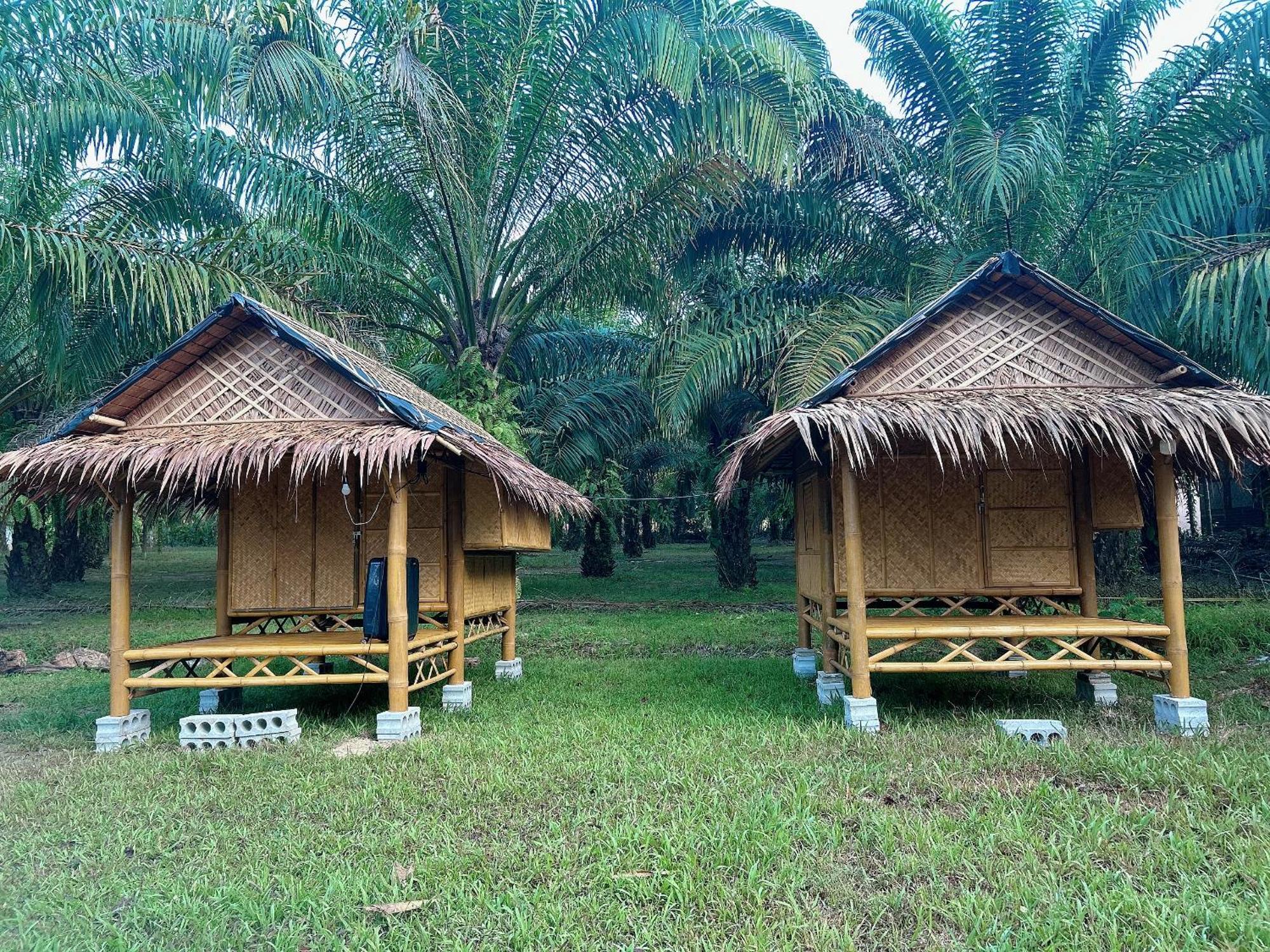 Khaosok August Freedom Camp Hotel Khao Sok National Park Екстериор снимка