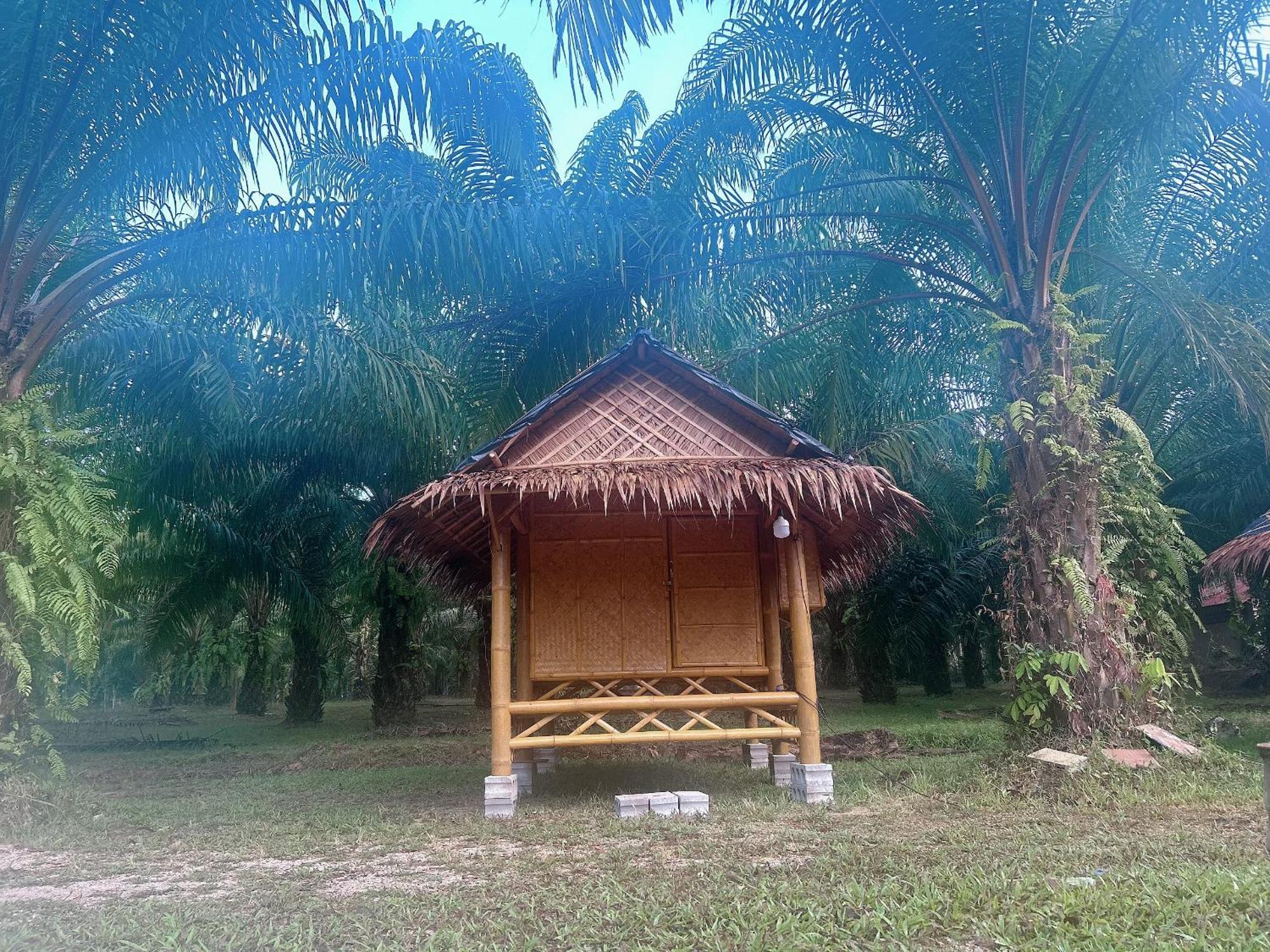 Khaosok August Freedom Camp Hotel Khao Sok National Park Екстериор снимка