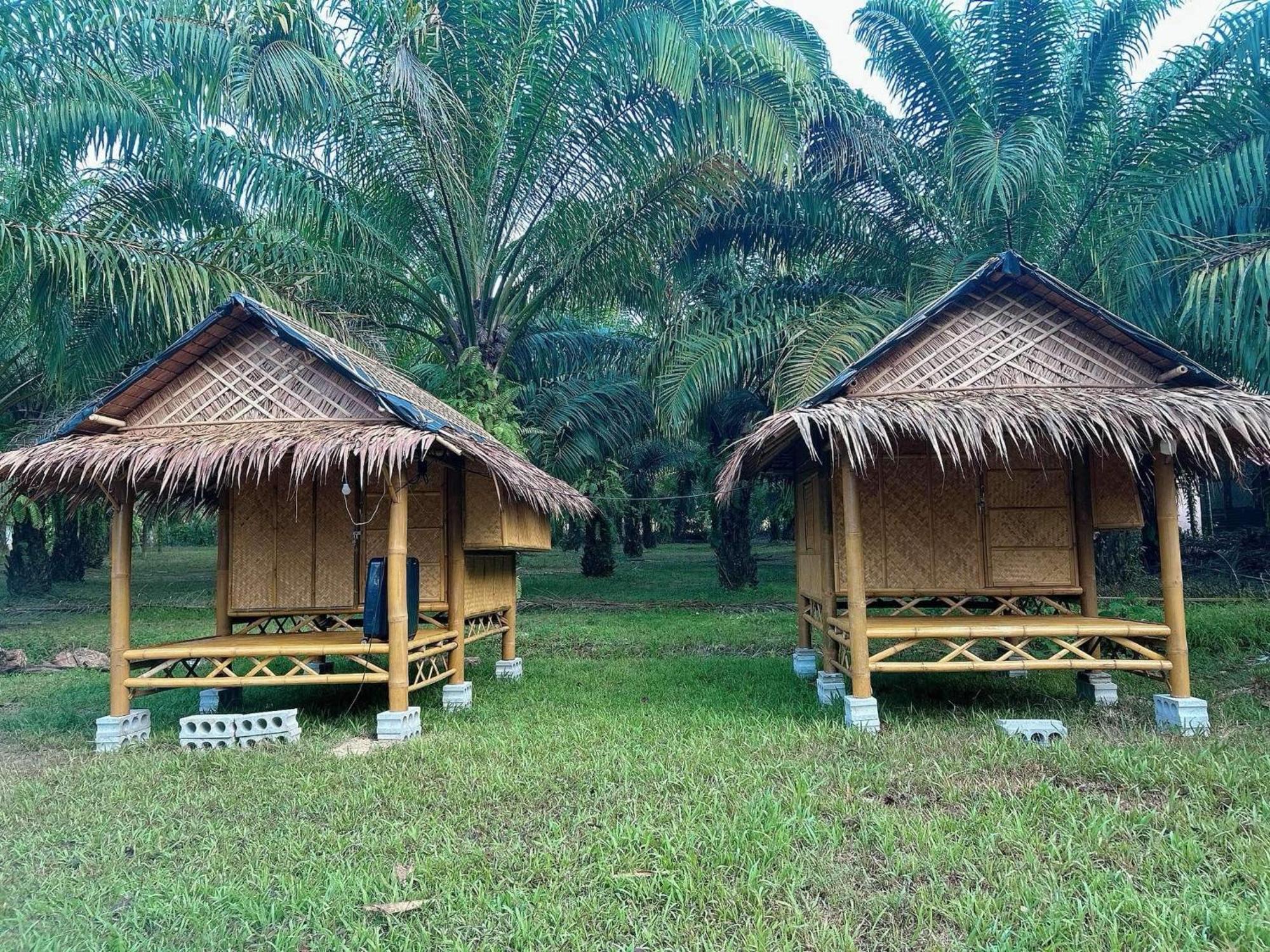 Khaosok August Freedom Camp Hotel Khao Sok National Park Екстериор снимка