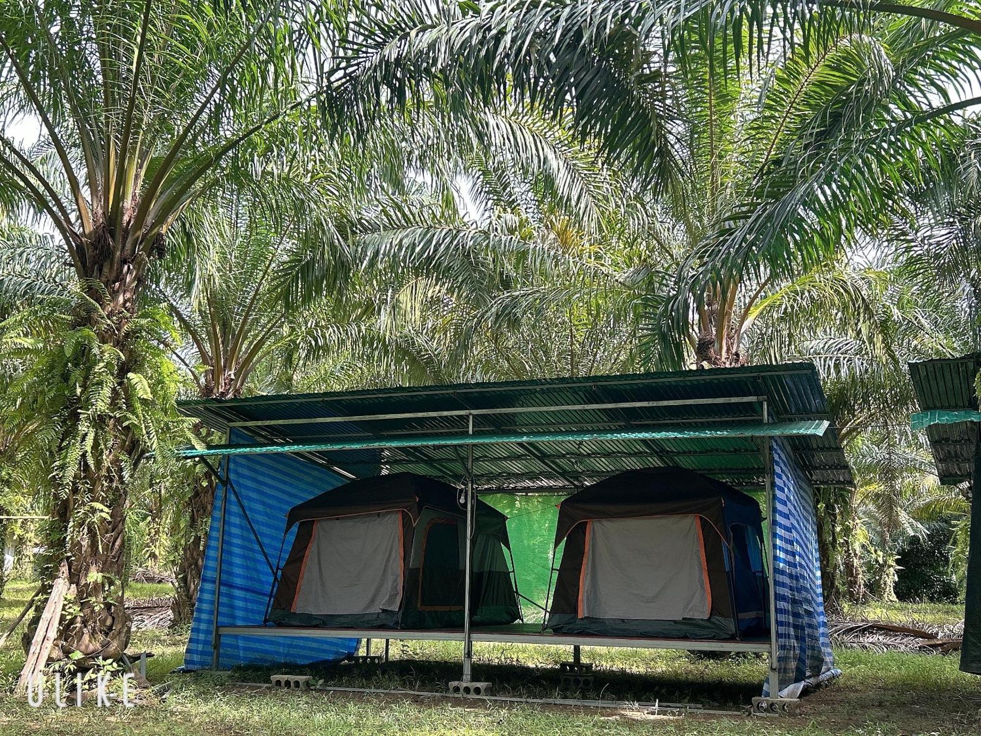 Khaosok August Freedom Camp Hotel Khao Sok National Park Екстериор снимка