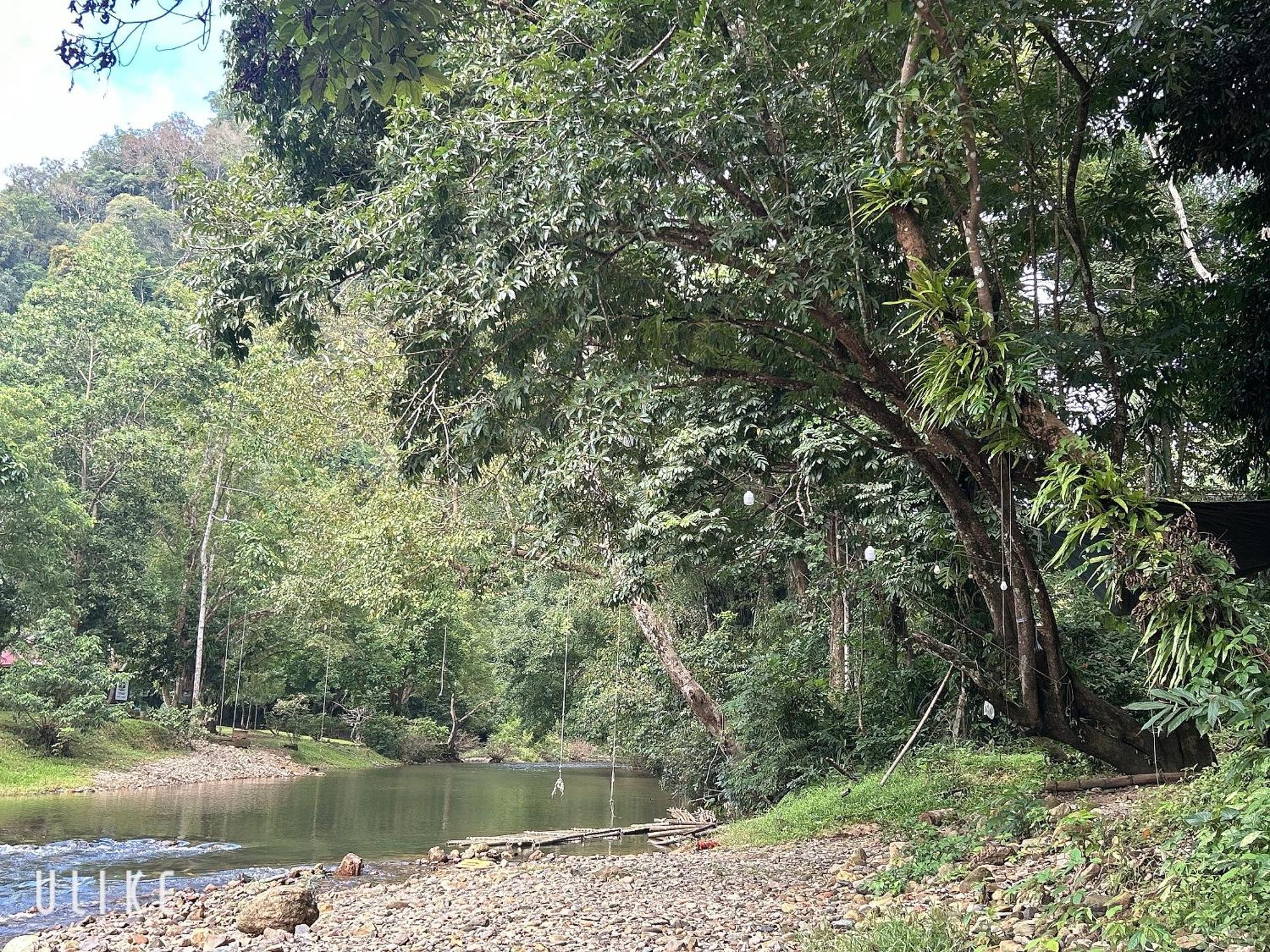 Khaosok August Freedom Camp Hotel Khao Sok National Park Екстериор снимка