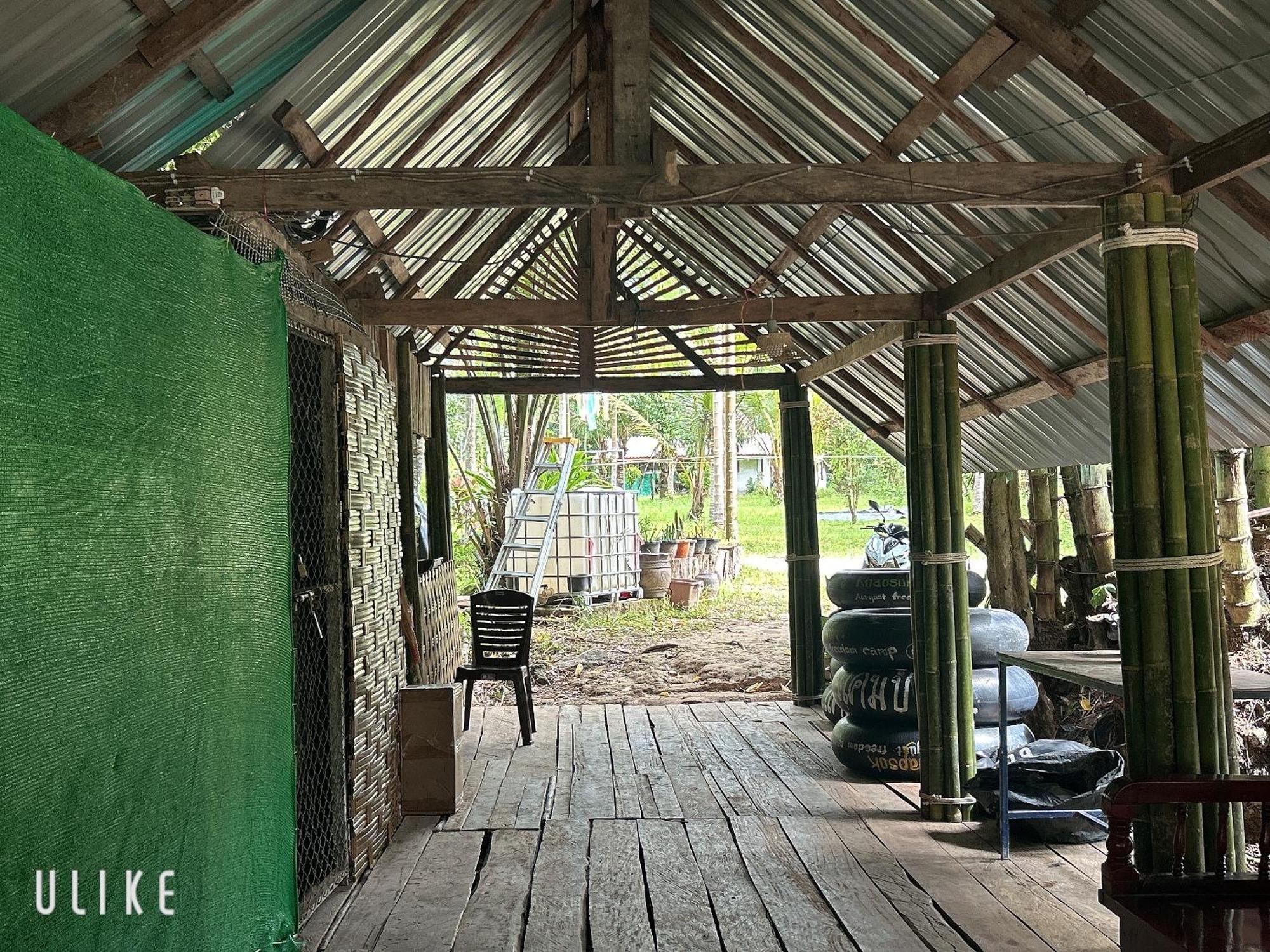 Khaosok August Freedom Camp Hotel Khao Sok National Park Екстериор снимка